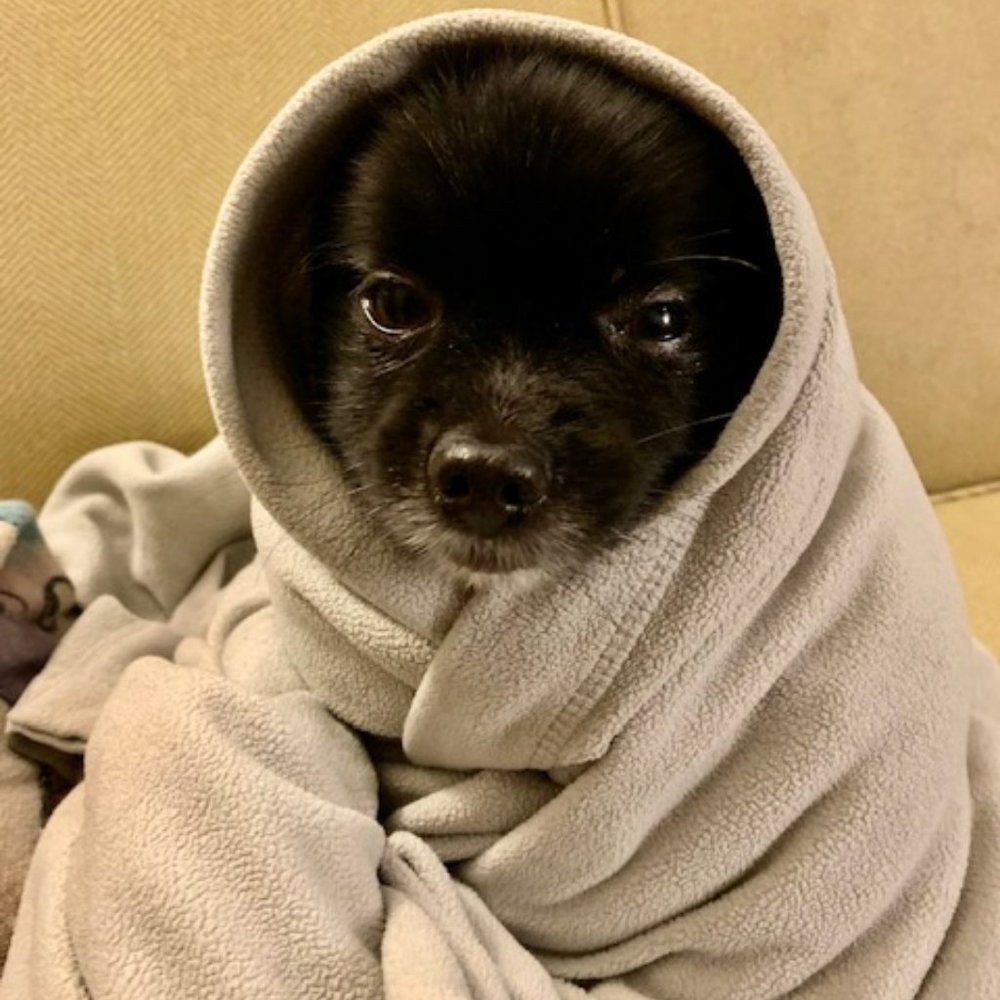 Meet your Posher, Jenny f